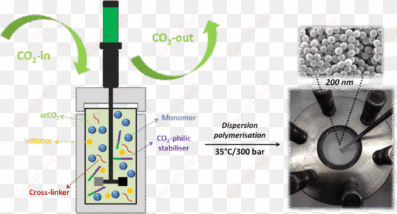 synthesis of poly networks nanoparticles in supercritical - supercritical carbon dioxide