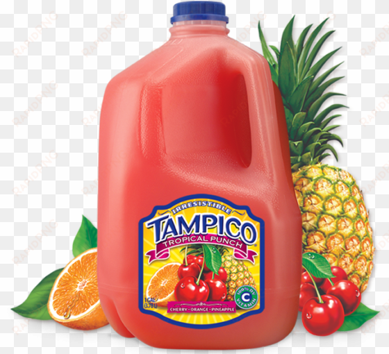 tampico tropical punch