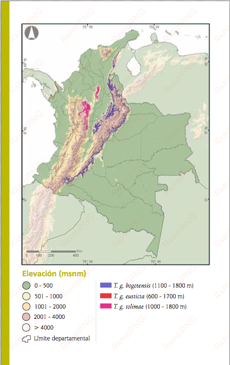 tangara de colombia - mapa de colombia