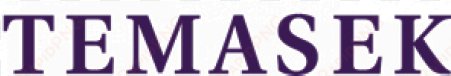 the africa report has twice won the diageo africa business - temasek foundation logo
