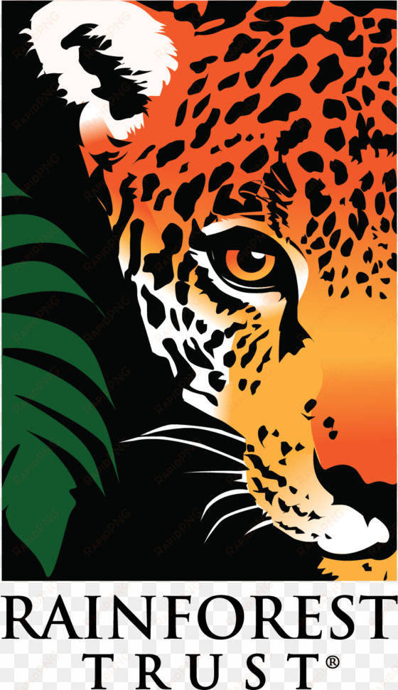 the cao team has received new funding from the rainforest - rainforest trust logo