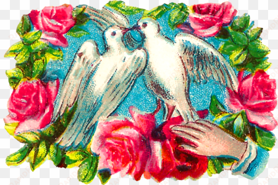the colorful romantic clipart images of pairs of doves - floral design