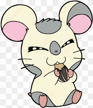 the hamtaro wiki - hamtaro