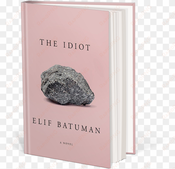 the idiot book cover - idiot by elif batuman