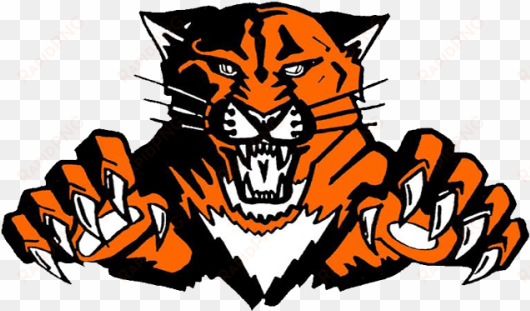 the lake forest scouts defeat the libertyville wildcats - libertyville high school wildcats