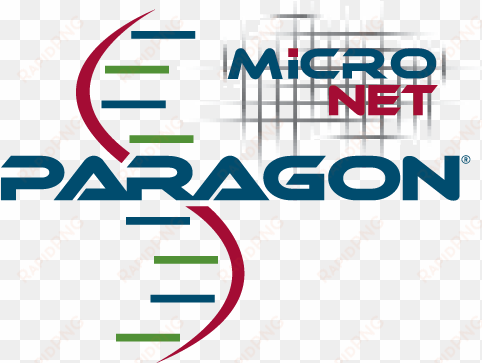 the paragon micronet is identical to the standard paragon - medicine