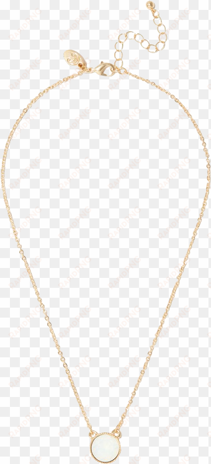 the pendant shape on the kendra scott necklace is hexagonal - charming charlie january birthstone
