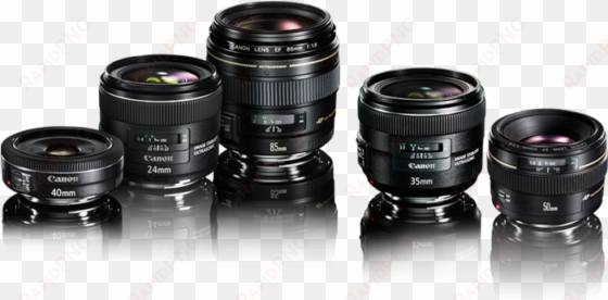 the prime lens offers the ultimate in image quality - canon prime lenses