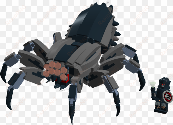 the spider steed of the necromancer - insect