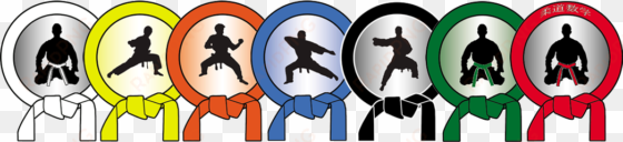 this is a pic of all the belts for every discipline - judo