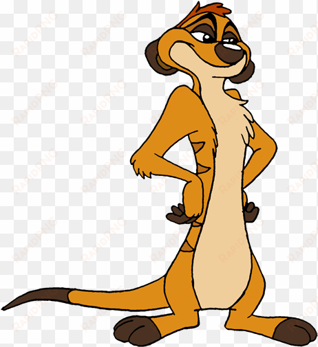 timon - meerkat timon