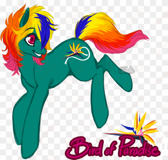 toastiepony, bird of paradise, earth pony, female,