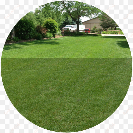 top-notch service - community lawn care