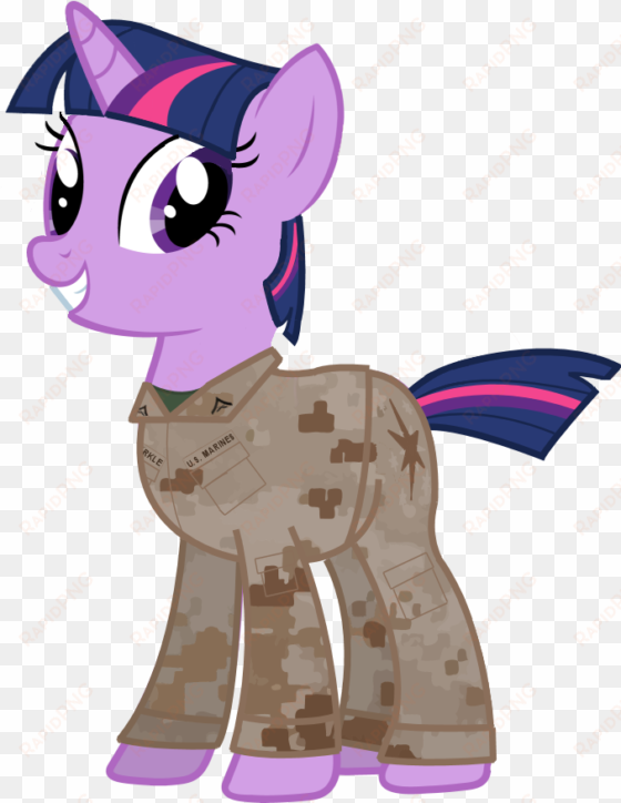 totallynotabronyfim, clothes, haircut, marines, military, - cartoon