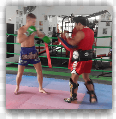 training 1 - professional boxing