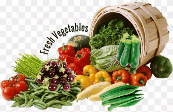 trusted name world wide exports & imports - fruits and vegetables png