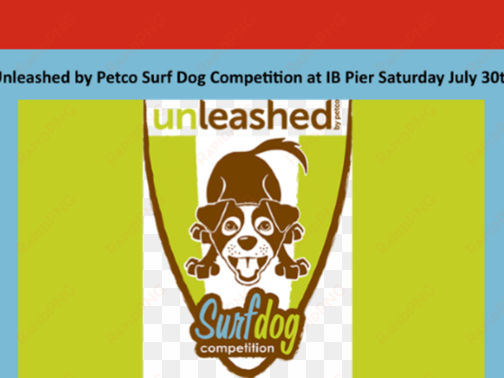 unleashed by petco surf dog competition at ib pier - unleashed by petco