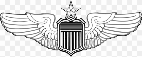 usaf senior pilot wings - air force nav wings