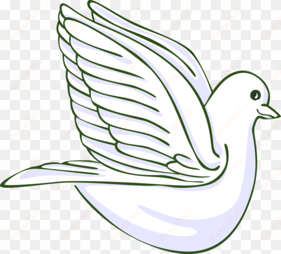 vector illustration of dove bird symbol symbol of peace - still life photography