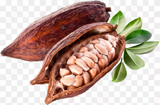 ver más - food
