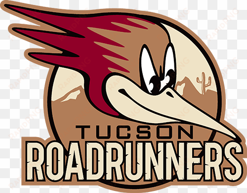 vista auto care - tucson road runners