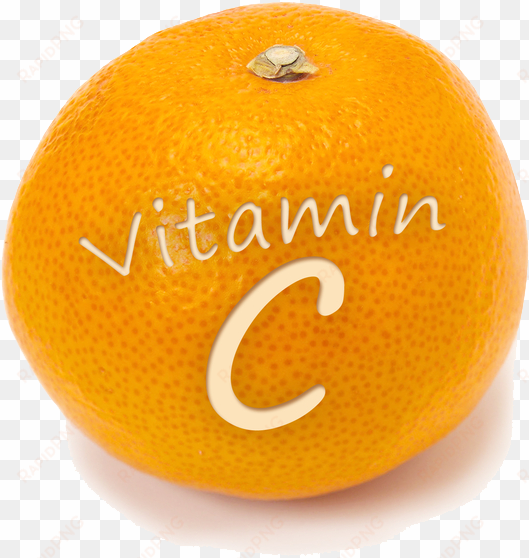 vitamin png clipart - oranges vitamin c
