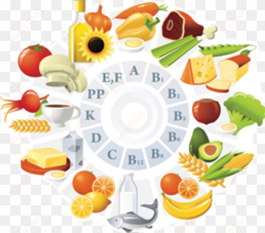 vitamin wheel200 - vitamins, their role in human life