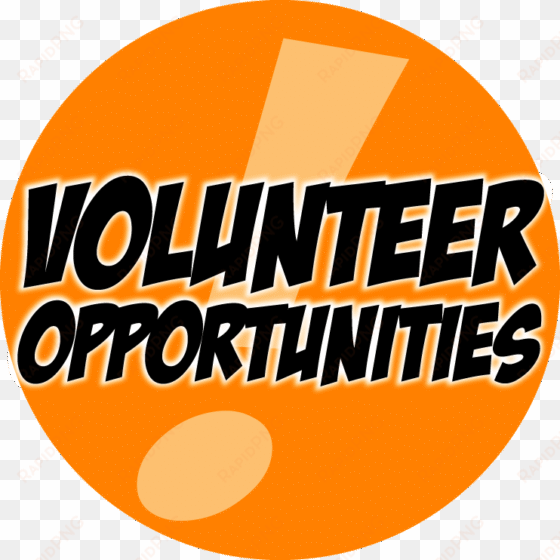 volunteer opportunities for teens - volunteer work