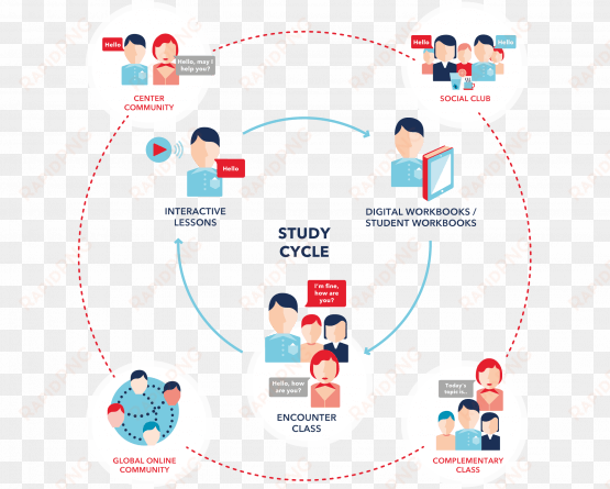 wall street english study cycle - illustration