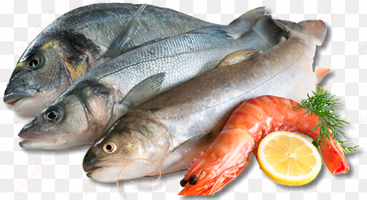 we also offer complimentary fish frying at all of our - fish and seafood png