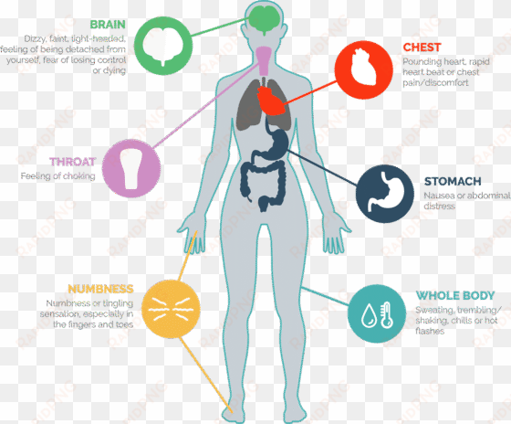 what are panic attacks - panic attack symptoms