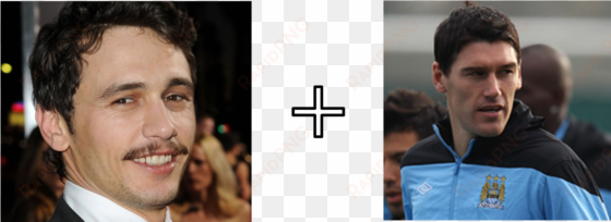 what do you get if you cross james franco and premier - james franco gay