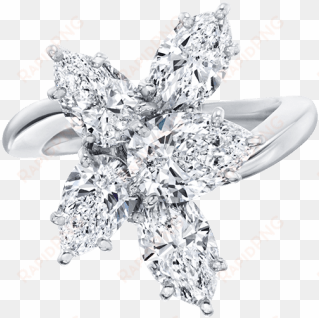 winston™ cluster by harry winston, large diamond ring - jewellery