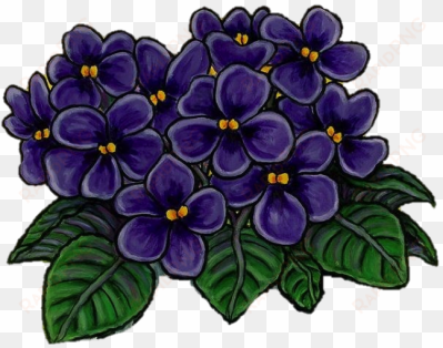 winston-salem alumnae chapter - african violet delta sigma theta