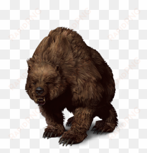 witcher wiki - bear the witcher 3