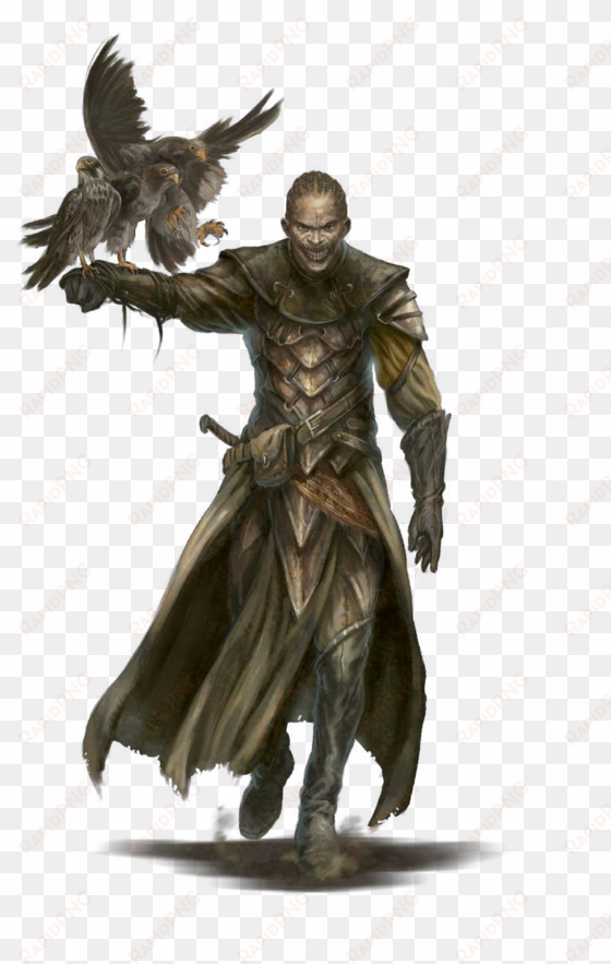 wizard necromancer magicien nécromancien - necromancer rpg