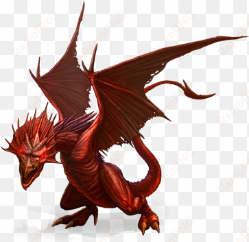 wyvern red