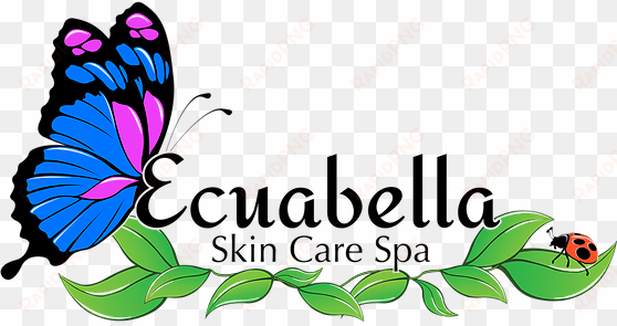 you cordially invite to our ribbon cutting and grand - spa