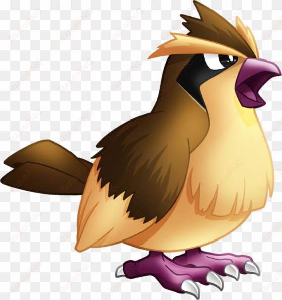 you - pidgey pokemon png