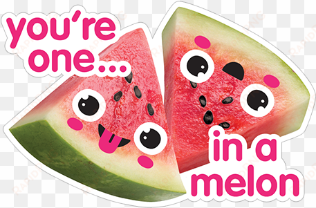 you're one in a melon watermelon - sticker