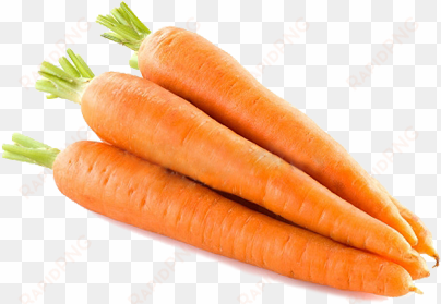 zanahorias png - imagenes de zanahoria png