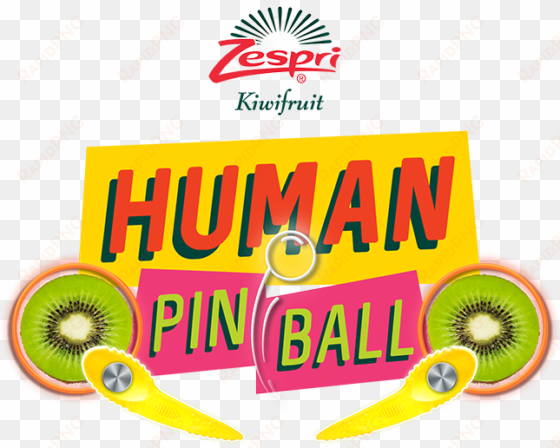 zespri kiwifruit human pinball - zespri